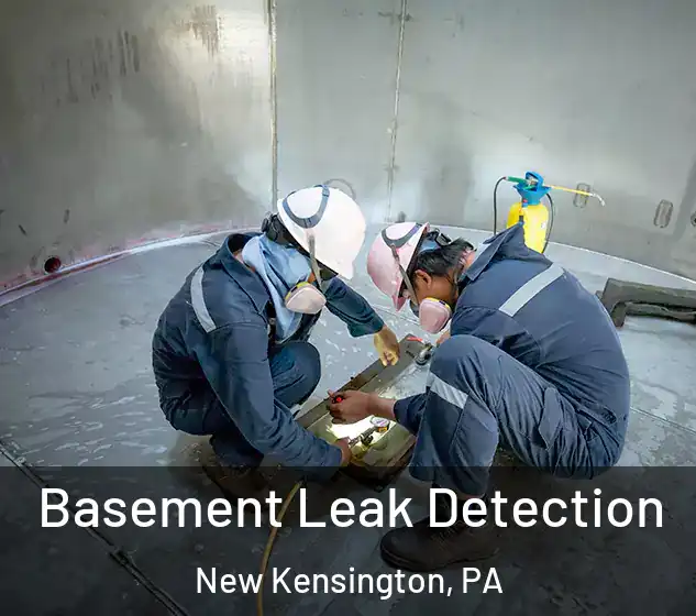  Basement Leak Detection New Kensington, PA