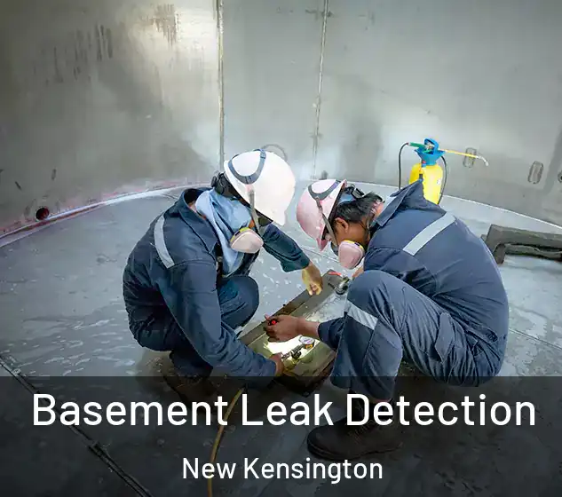  Basement Leak Detection New Kensington