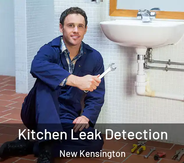  Kitchen Leak Detection New Kensington