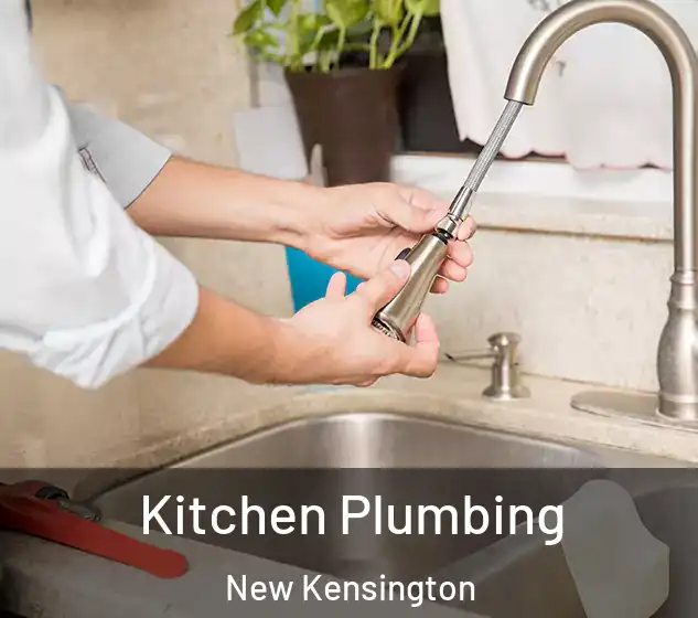  Kitchen Plumbing New Kensington