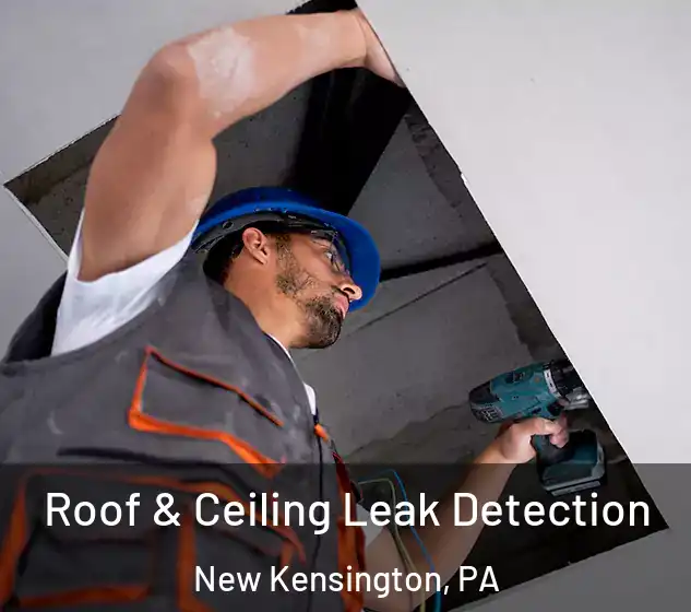  Roof & Ceiling Leak Detection New Kensington, PA