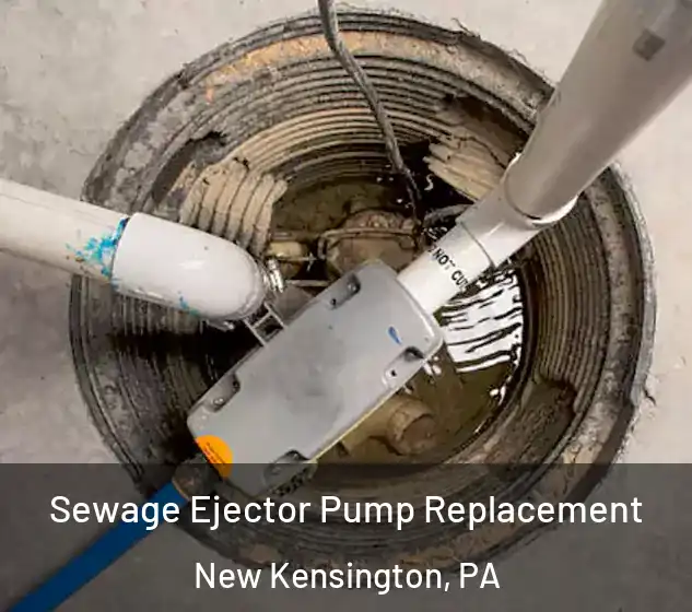  Sewage Ejector Pump Replacement New Kensington, PA