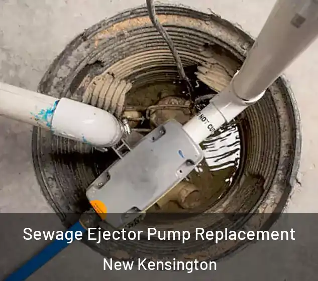  Sewage Ejector Pump Replacement New Kensington