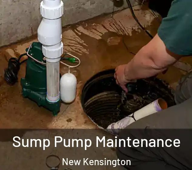  Sump Pump Maintenance New Kensington