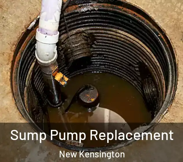  Sump Pump Replacement New Kensington
