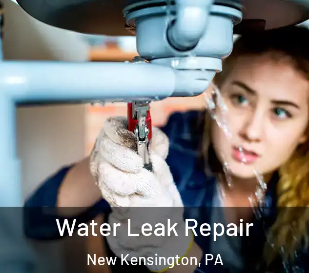  Water Leak Repair New Kensington, PA